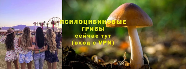 ГАЛЛЮЦИНОГЕННЫЕ ГРИБЫ Балабаново