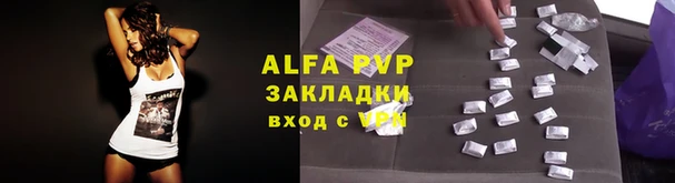 ГАЛЛЮЦИНОГЕННЫЕ ГРИБЫ Балабаново