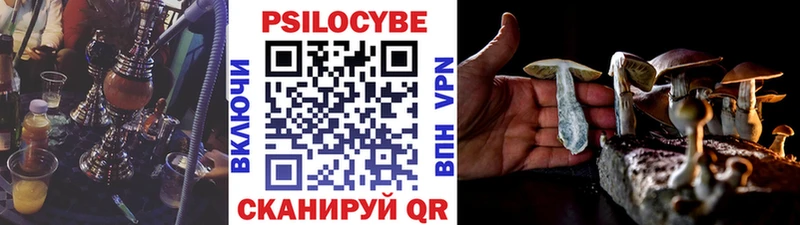 KRAKEN ссылка  Нязепетровск  Псилоцибиновые грибы мицелий 